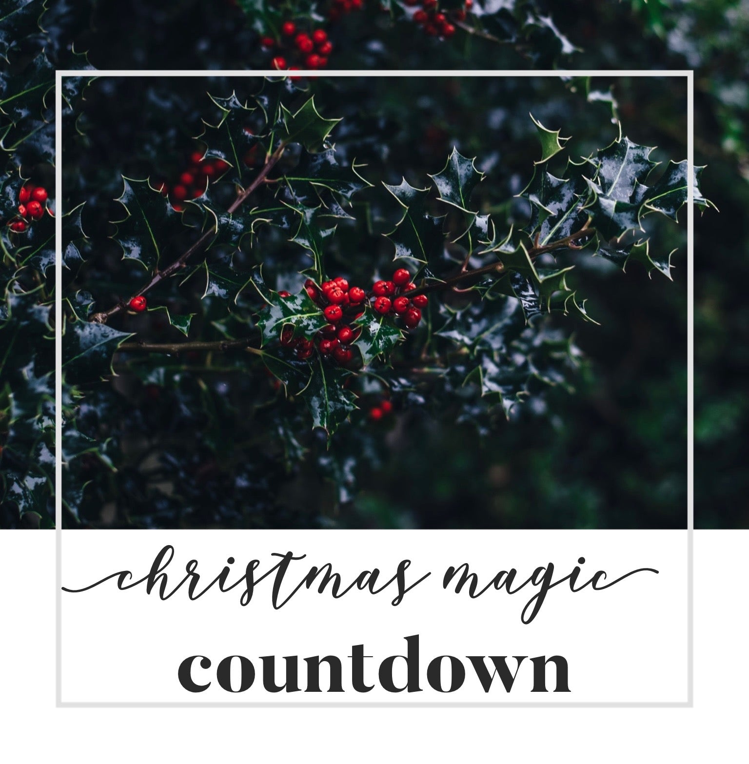 The 12 Days Christmas Magic Countdown