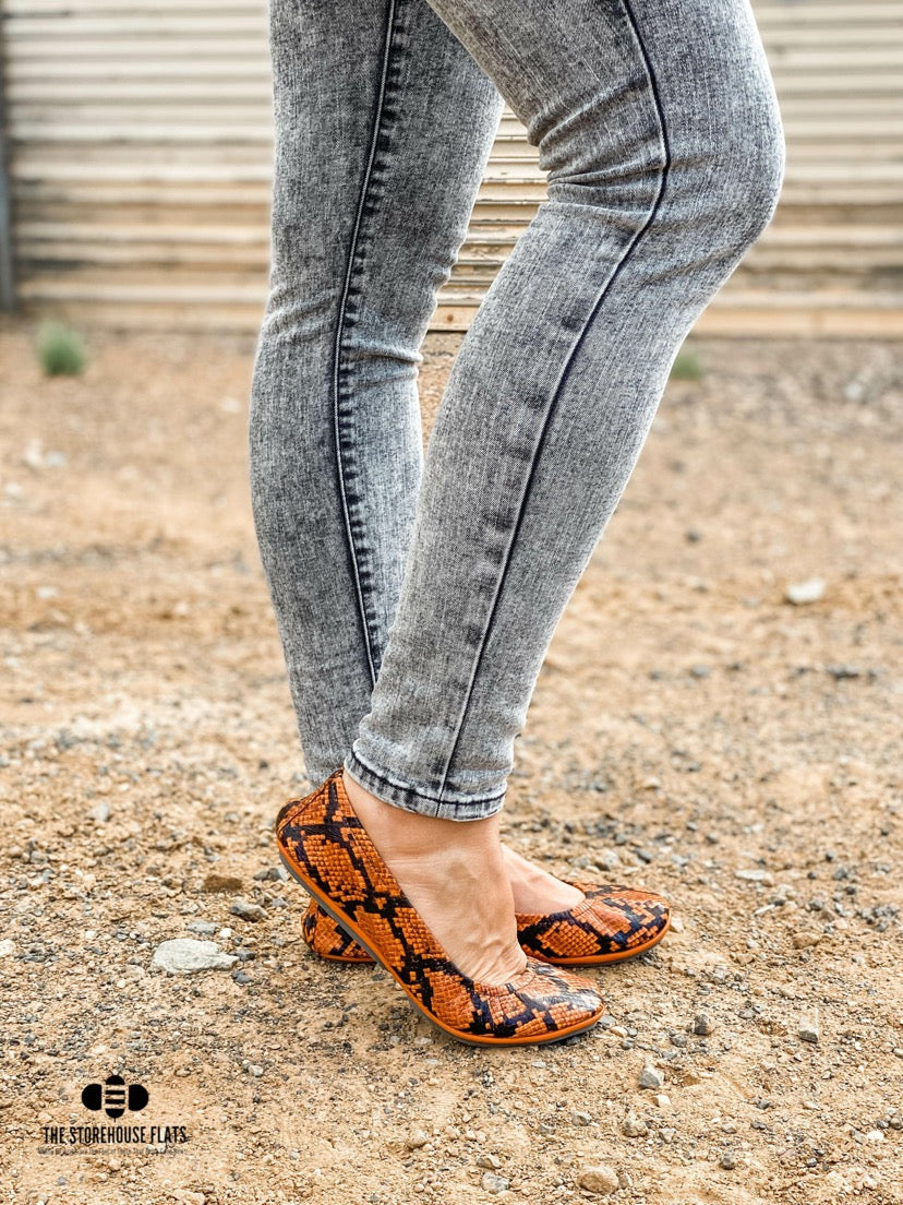 PUMPKIN SPICE SNAKES | IN STOCK - The Storehouse Flats