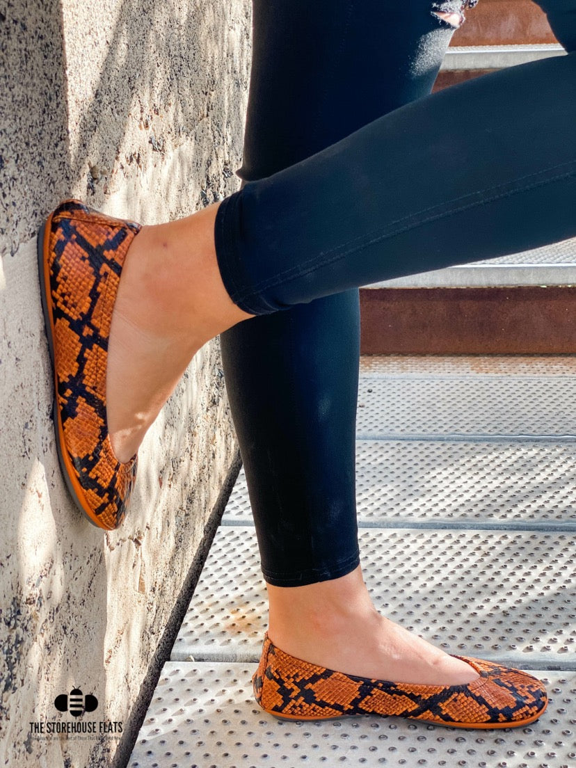 PUMPKIN SPICE SNAKES | IN STOCK - The Storehouse Flats