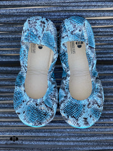 GLACIER SNAKES | MARCH PREORDER - The Storehouse Flats