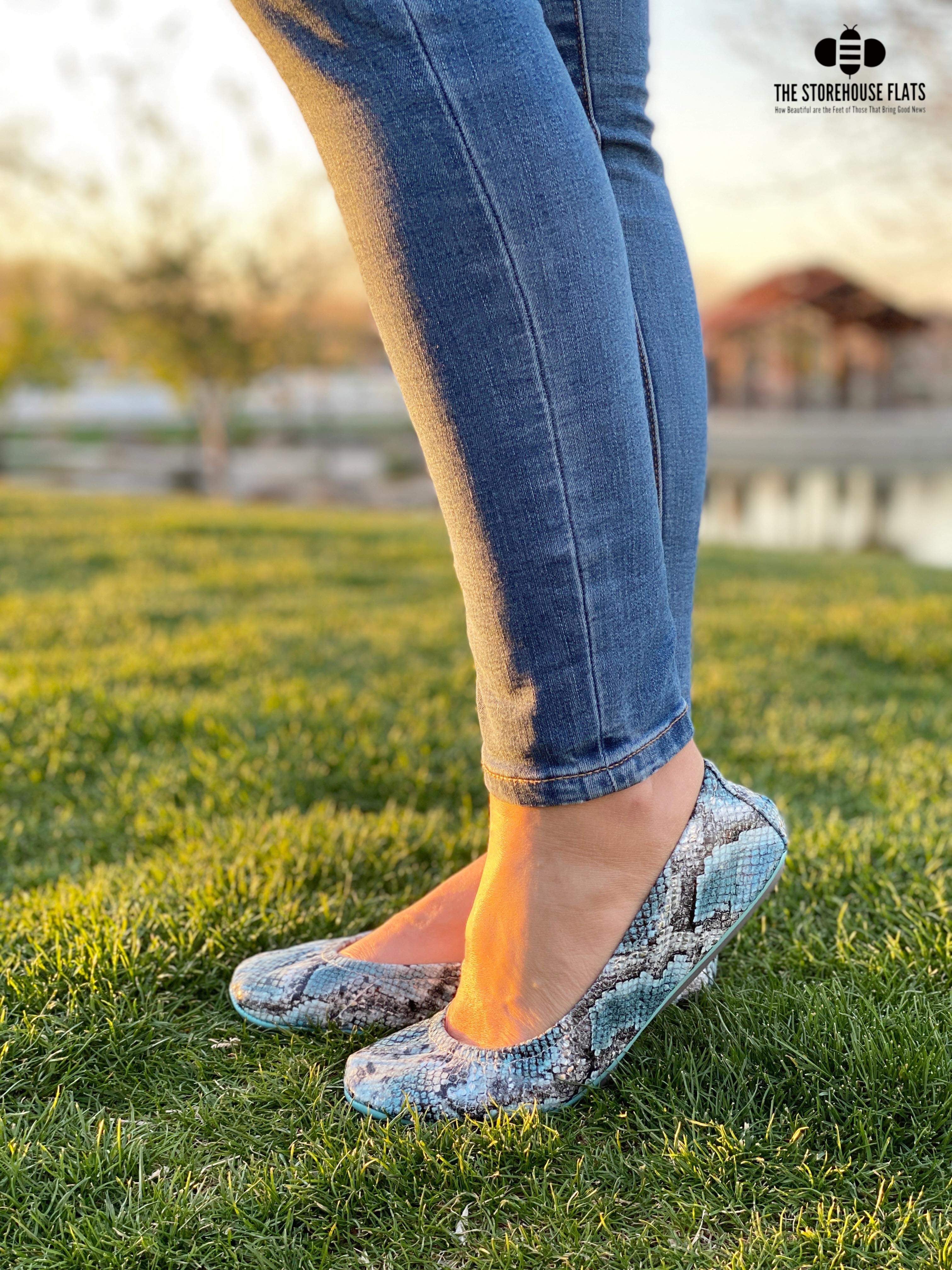 GLACIER SNAKES | MARCH PREORDER - The Storehouse Flats