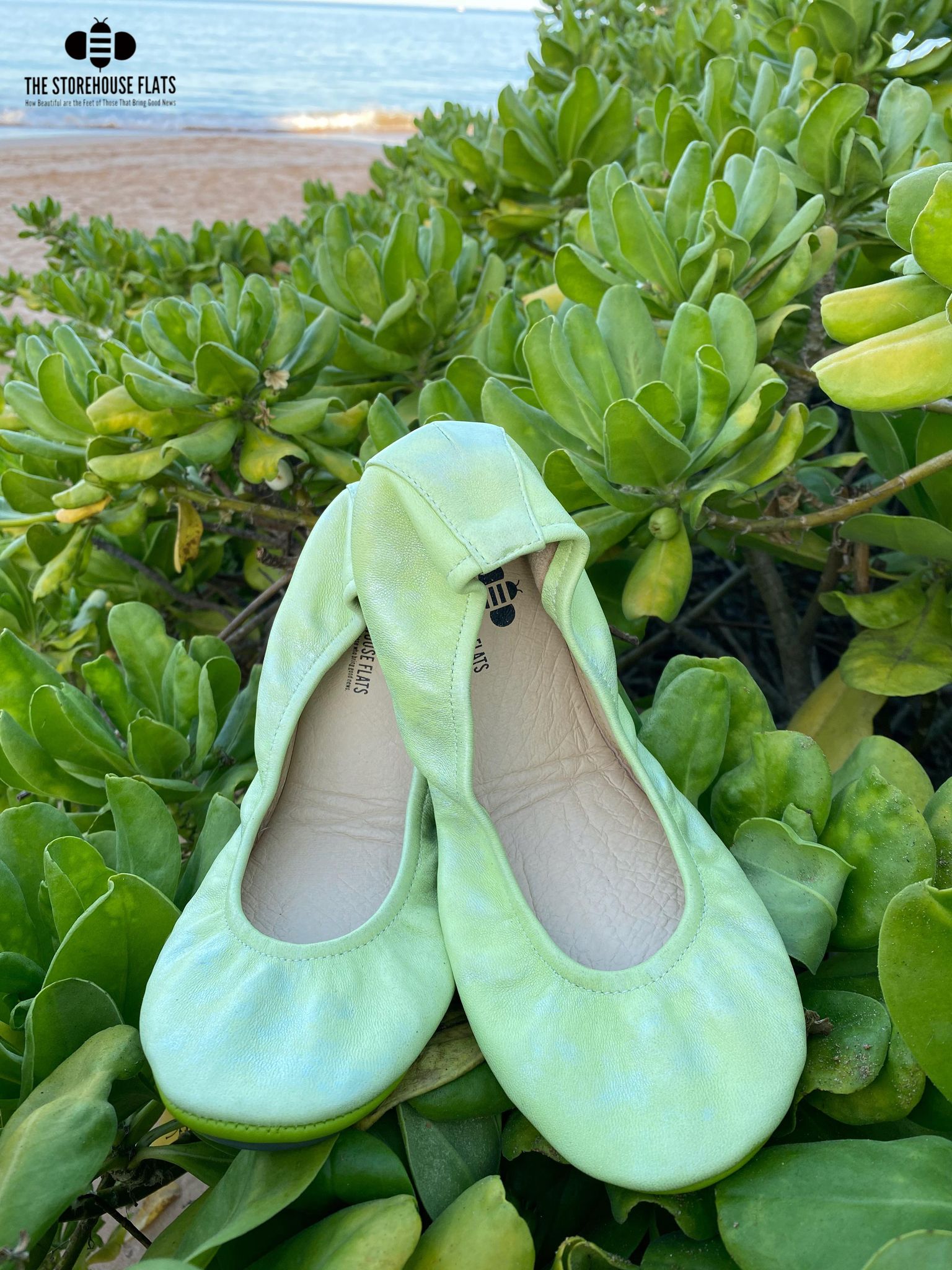 KEY LIME KISS | APRIL PREORDER - The Storehouse Flats