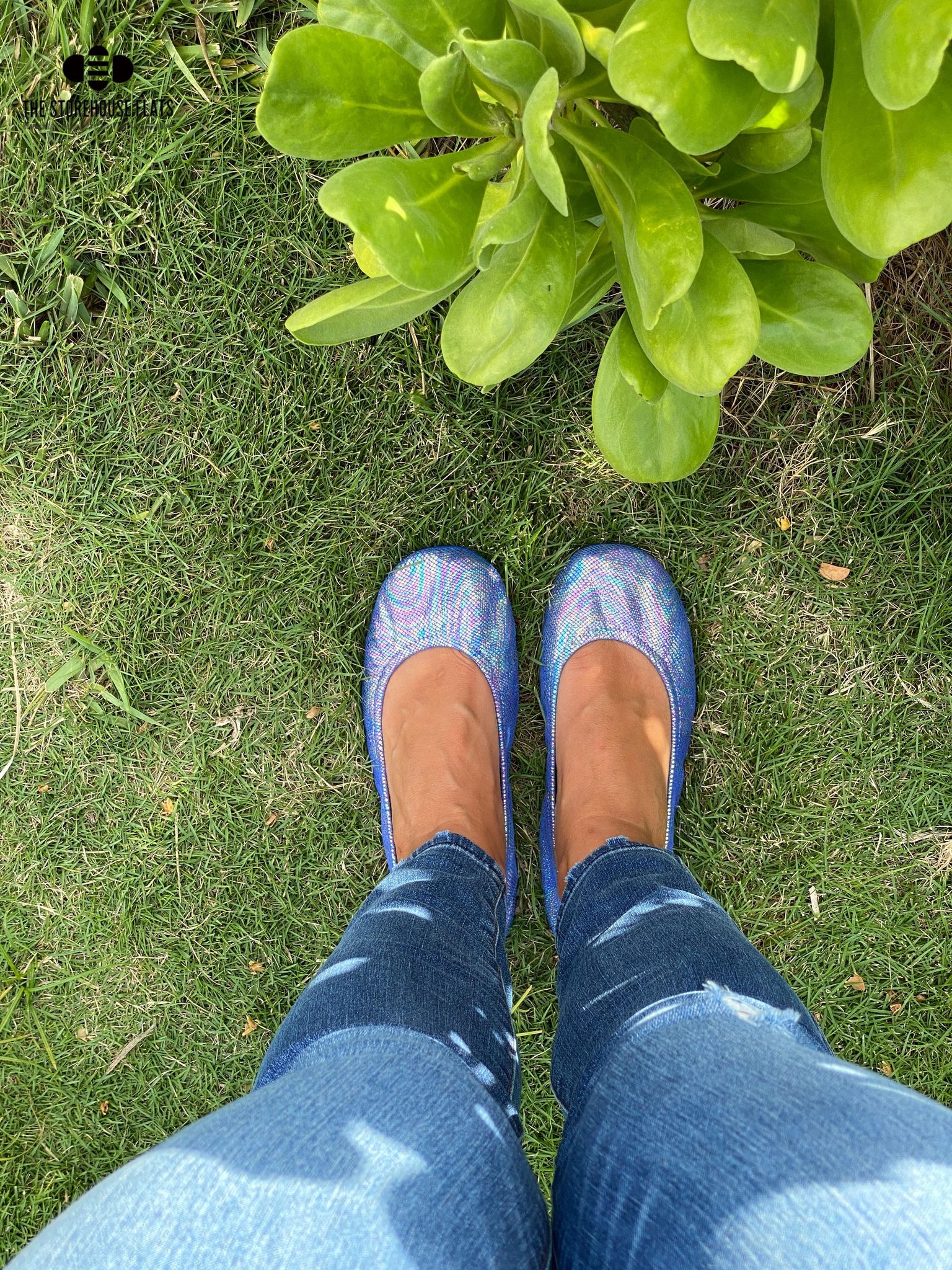 MERMAID COVE | APRIL PREORDER - The Storehouse Flats