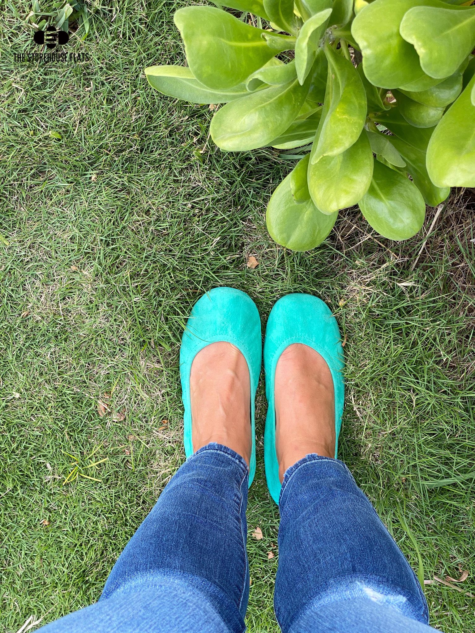 TROPICAL GREEN SUEDE | APRIL PREORDER - The Storehouse Flats